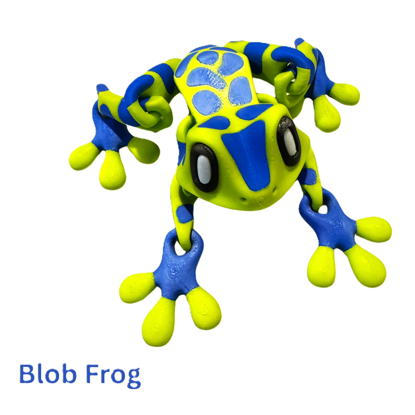 Blob Frog - Spotted