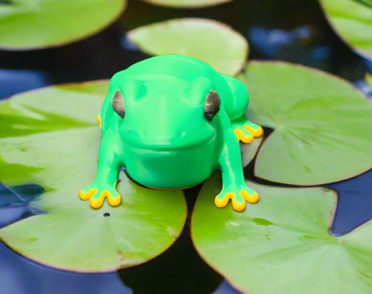 Frog