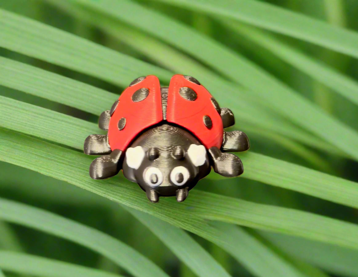 Ladybug