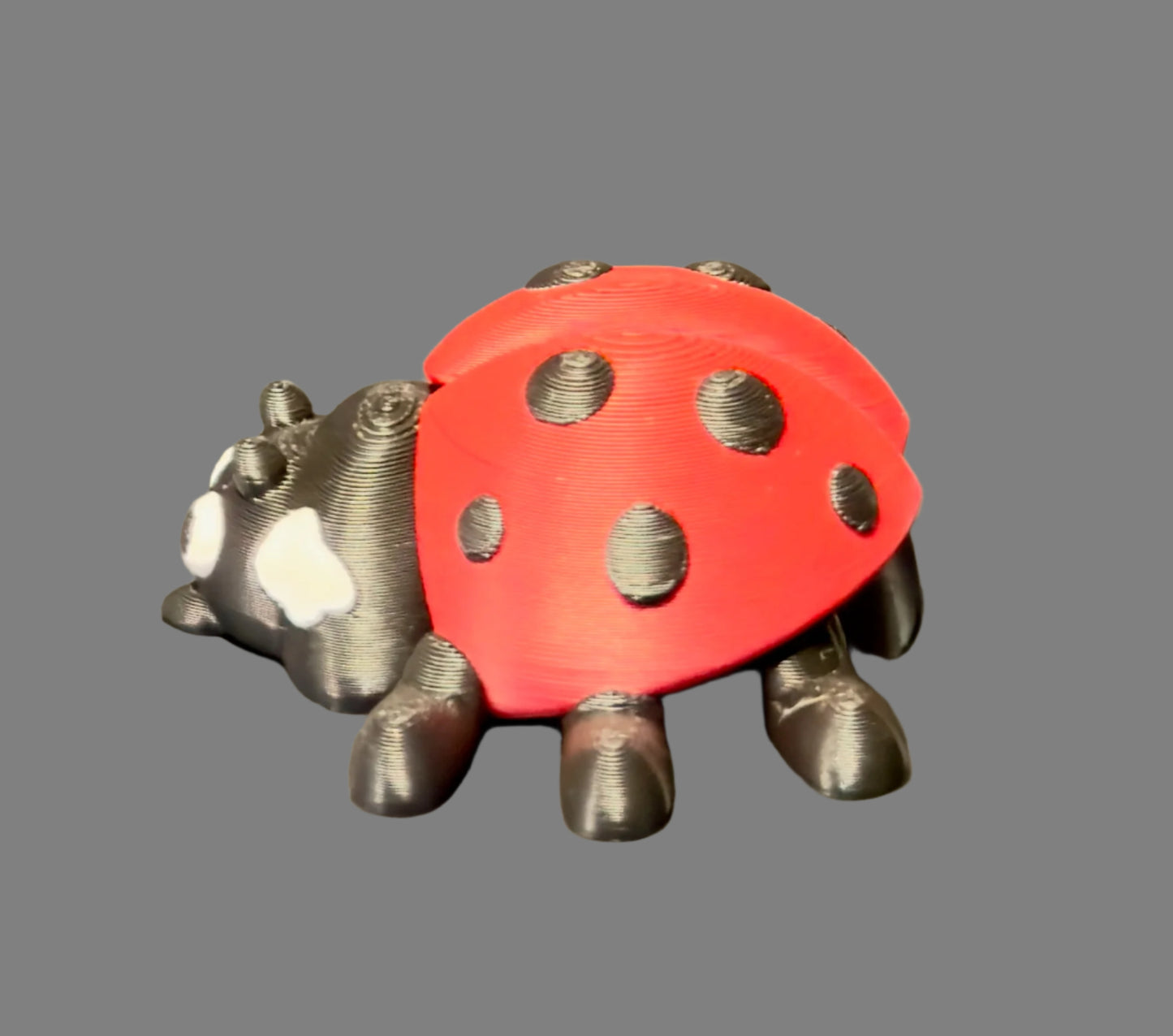 Ladybug