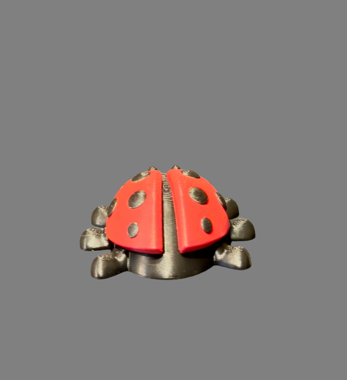 Ladybug