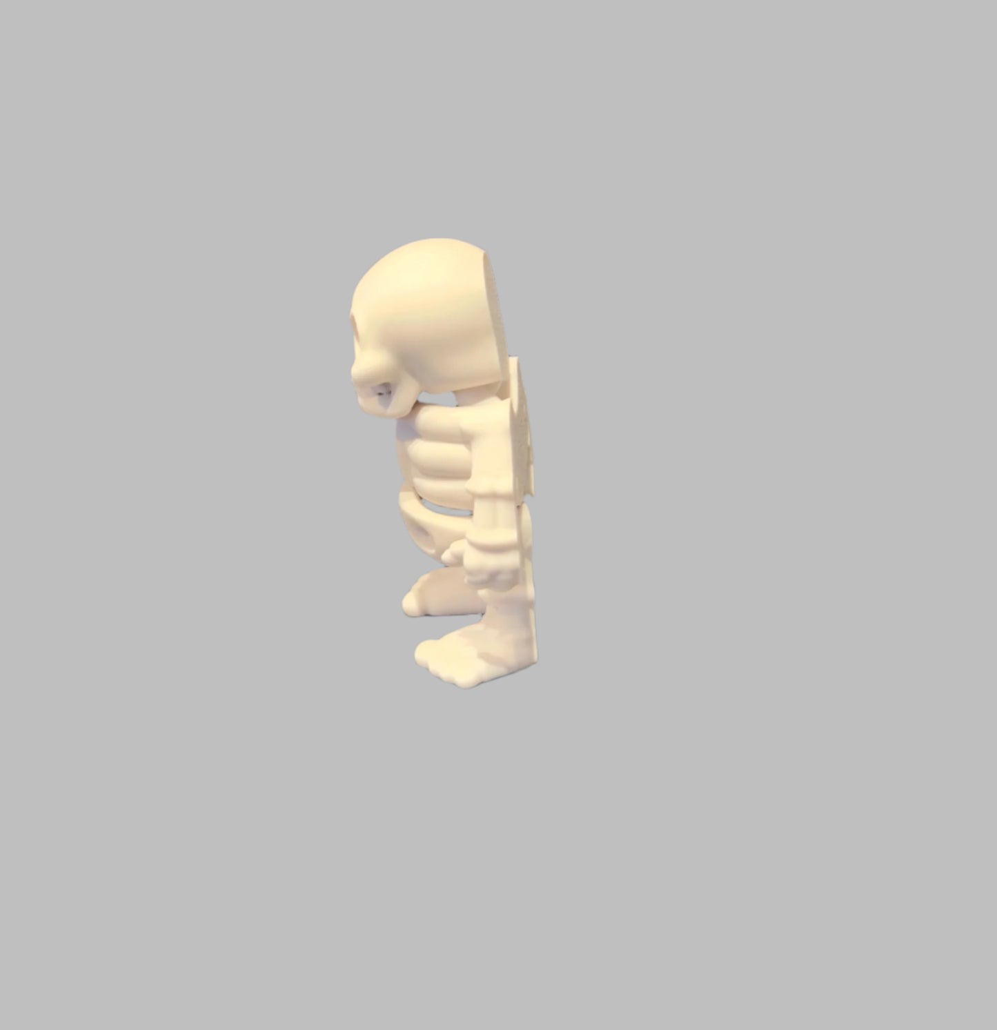 Skeleton