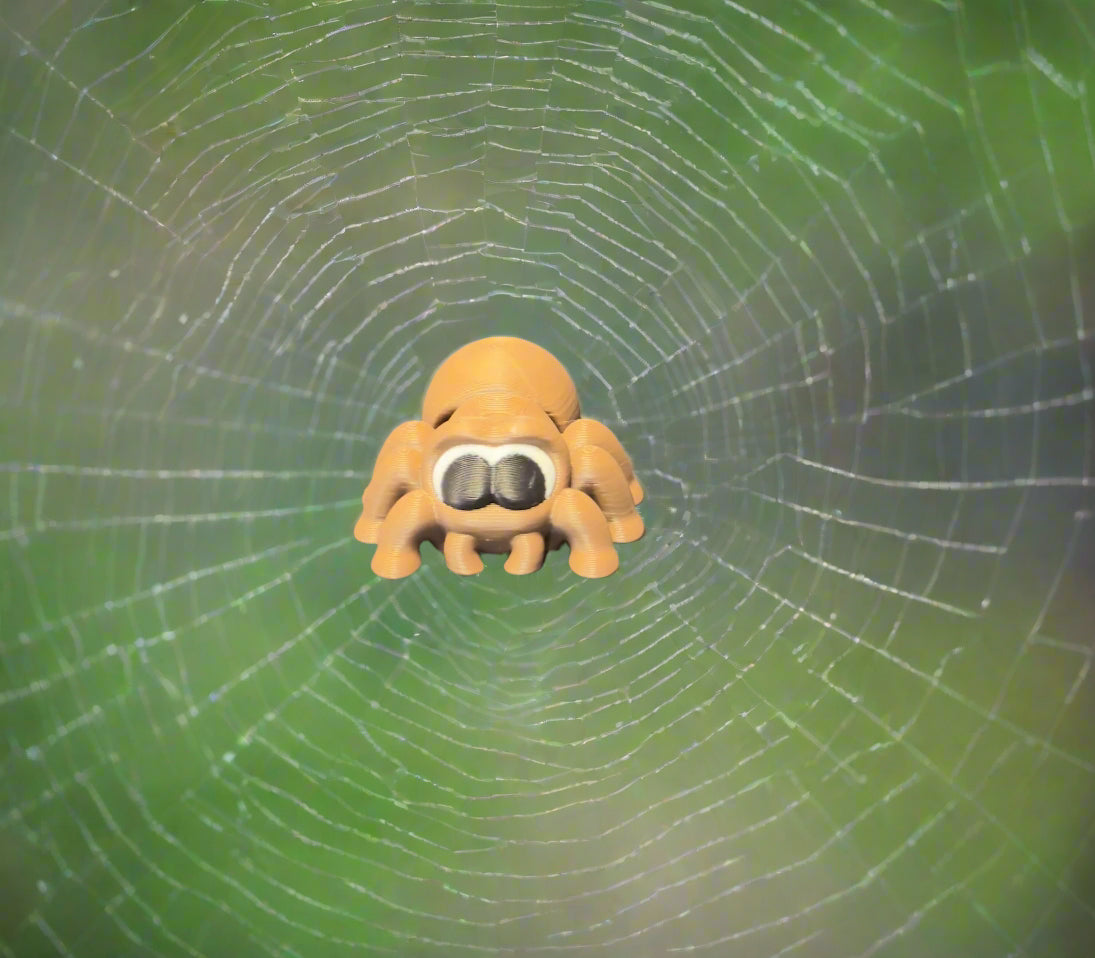Spider