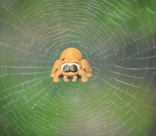 Spider