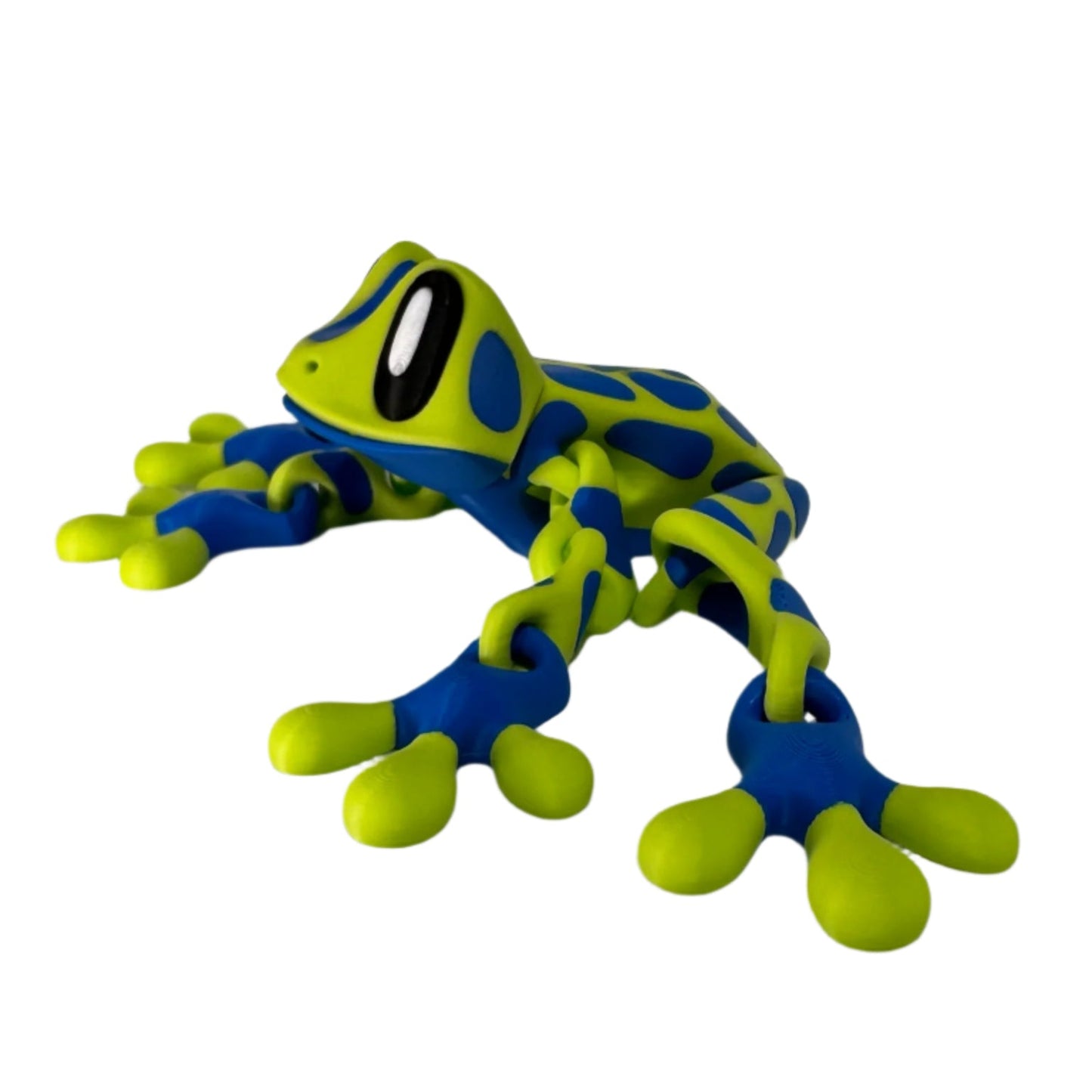 Blob Frog - Spotted