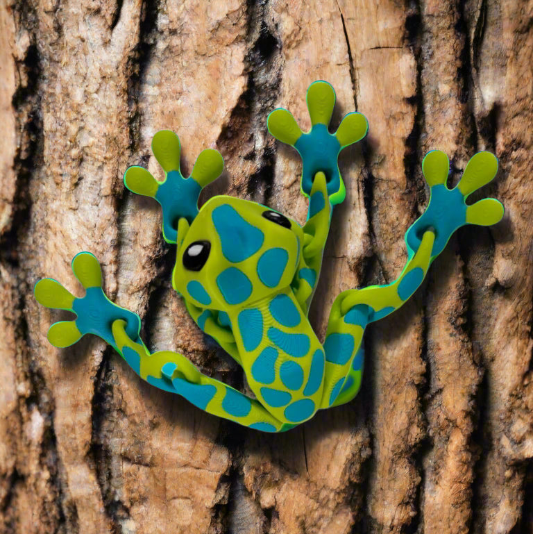Blob Frog - Spotted