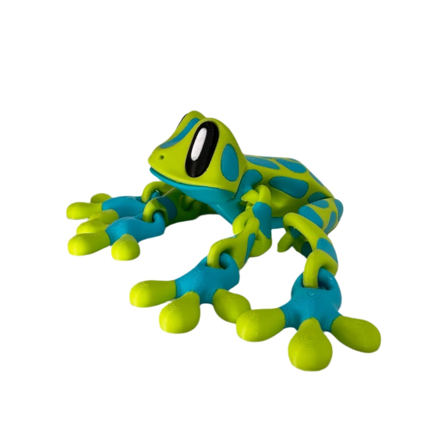 Blob Frog - Spotted