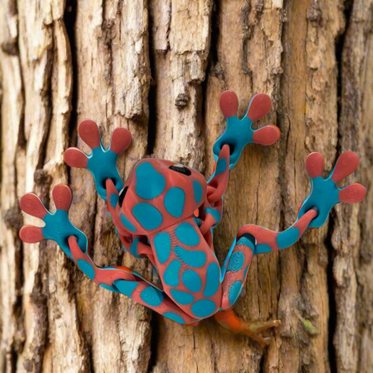 Blob Frog - Spotted